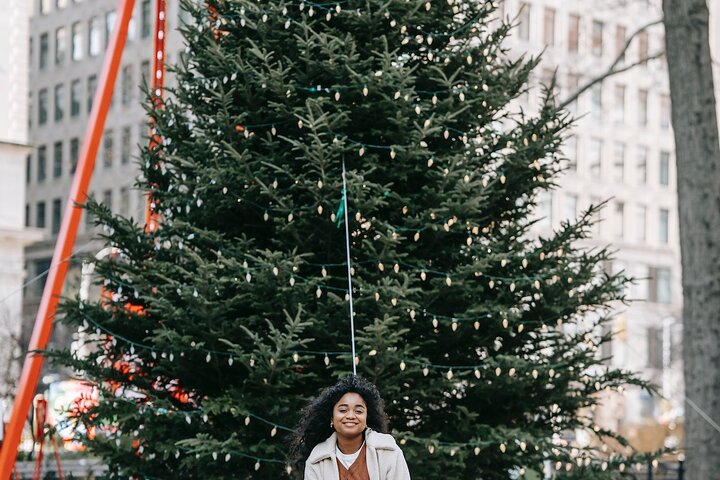 St. Louis Private Christmas Spectacular Tour - Photo 1 of 6